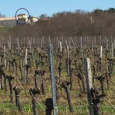 Superbe Gite A La Campagne Dans Le Bordelais Saint-Vivien-de-Blaye Zewnętrze zdjęcie
