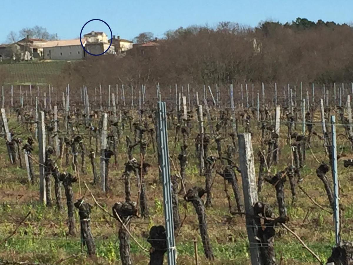 Superbe Gite A La Campagne Dans Le Bordelais Saint-Vivien-de-Blaye Zewnętrze zdjęcie